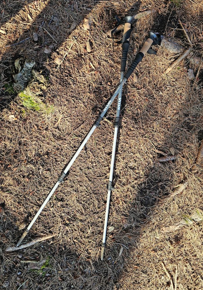 Silva - Trekking Poles Aluminium Cork. Ett par bra vandringsstavar ligger på marken i barrskog.