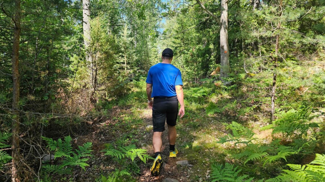 Man går i skogen iklädd vandringsshorts i grått och blå t-shirt. I bakgrunden syns gröna barrträd.