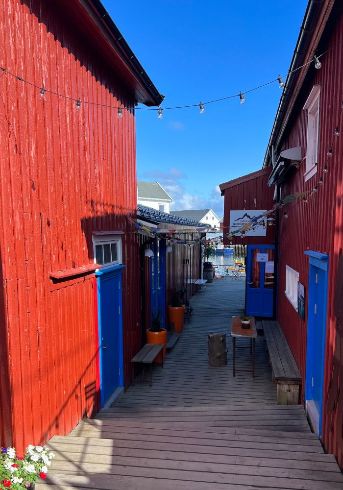 Bryggan ner till Klattrekafeen omgiven av röda trähus
