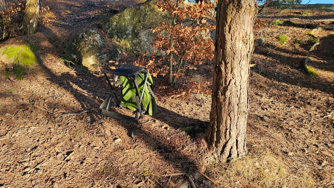 En äldre, grön stolryggsäck står ensam i en skogsmiljö.